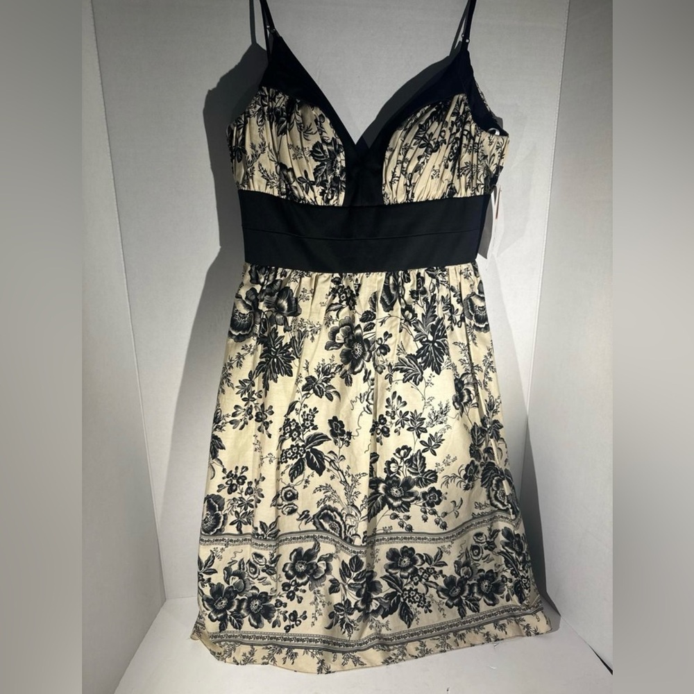 Oleg Cassini Black and Cream strap  A-line Dress